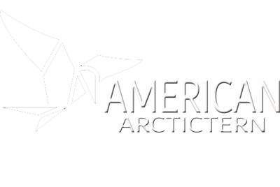 Logo of American Architect, featuring a stylized bird design and the text 'AMERICAN ARCHITECT' in bold letters.